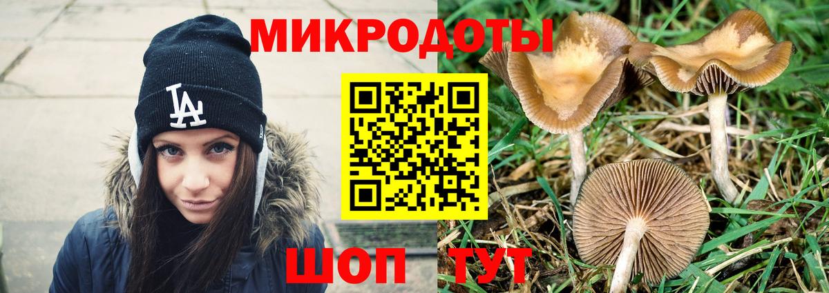Псилоцибиновые грибы мухоморы  Вход с VPN  Вязники 